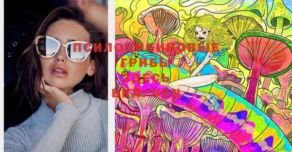 бошки Покачи
