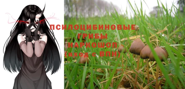 бошки Покачи