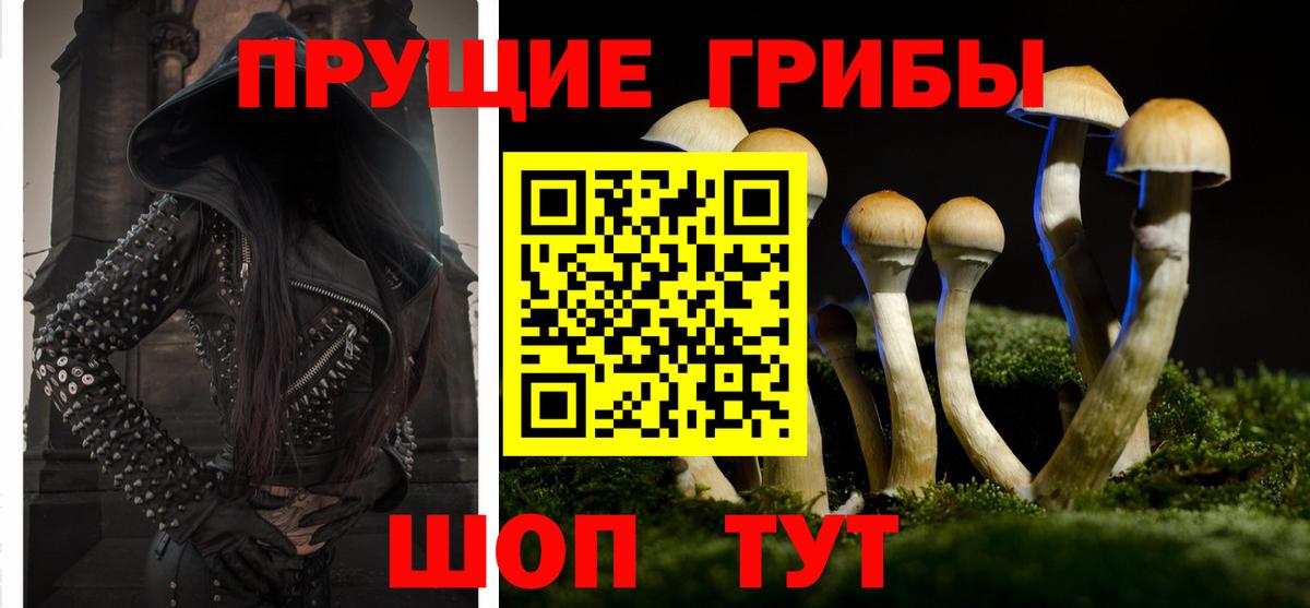 Галлюциногенные грибы Psilocybine cubensis Троицк